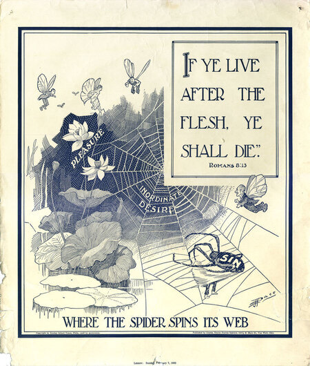 Where the Spider Spins