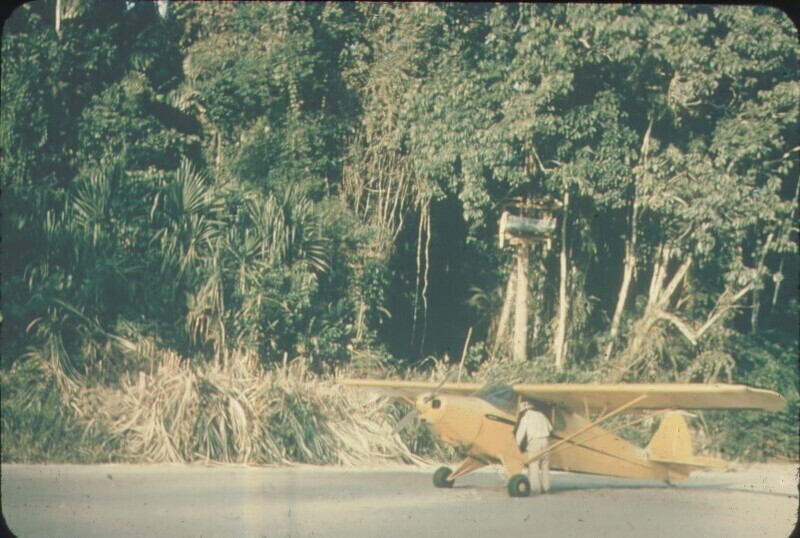 View of tree house built by missionaries and Nate Saint's Piper Cub airplane on Palm Beach, January 1956. Color slide, 1x1 in.
